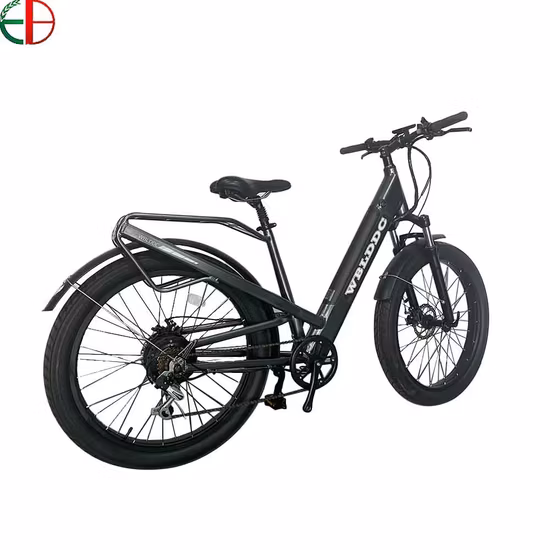 750W 52V Fat Tire Mountain Electric Bike Ebike 5% Discount