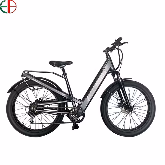 750W 52V Fat Tire Mountain Electric Bike Ebike 5% Discount