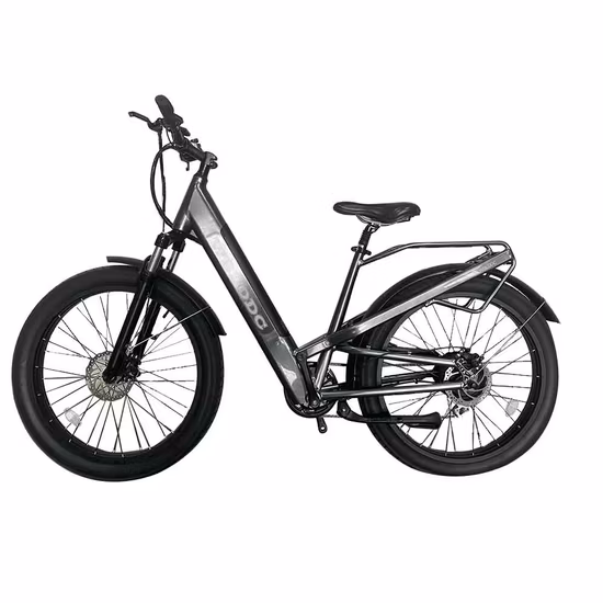 750W 52V Fat Tire Mountain Electric Bike Ebike 5% Discount