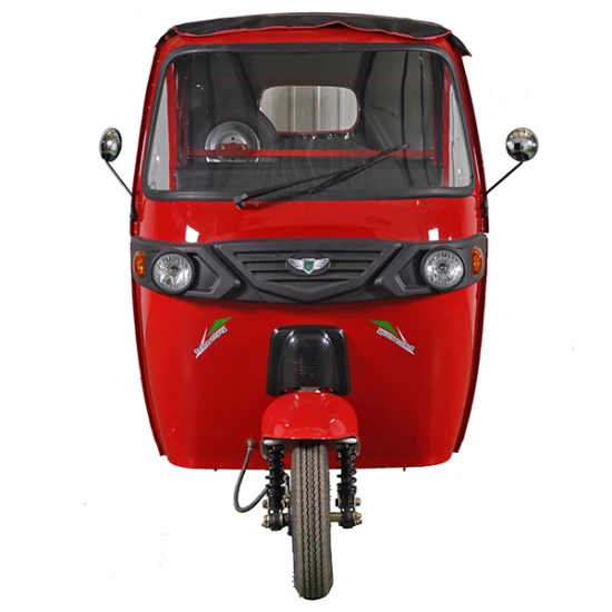 Triciclo elétrico de lazer com 3 rodas para adultos com bateria de energia verde certificada CCC com veículo motorizado de 4000W