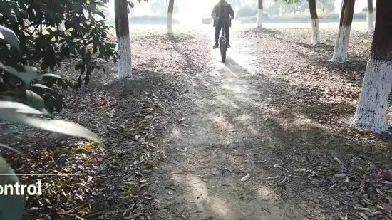 Venda quente pneu gordo dobrável bicicleta elétrica 20 polegadas pneu de neve 48V 13ah bateria de lítio E