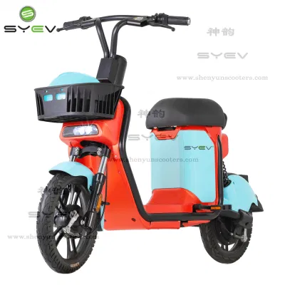 Syev 2022 Venda superior 2 rodas 48V24ah 350W bicicleta compartilhada elétrica econômica E