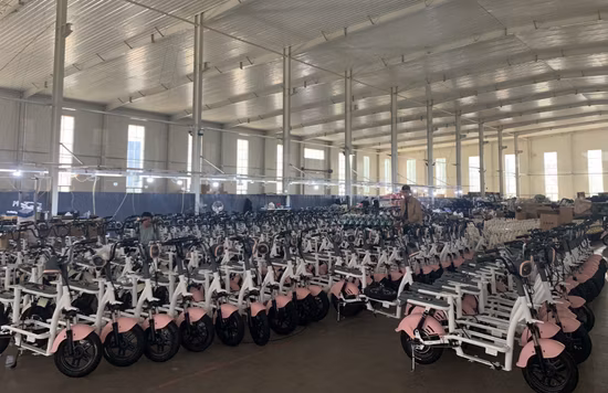 Bicicleta dobrável urbana elétrica com armazém de motor 36V 250W na Europa